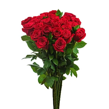 Rose Bouquet